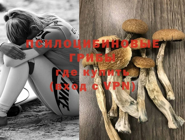 тгк Бронницы